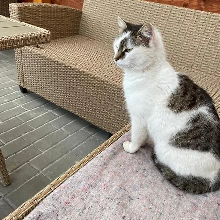 Séjour chez l'habitant U Truhlaru Saldorf